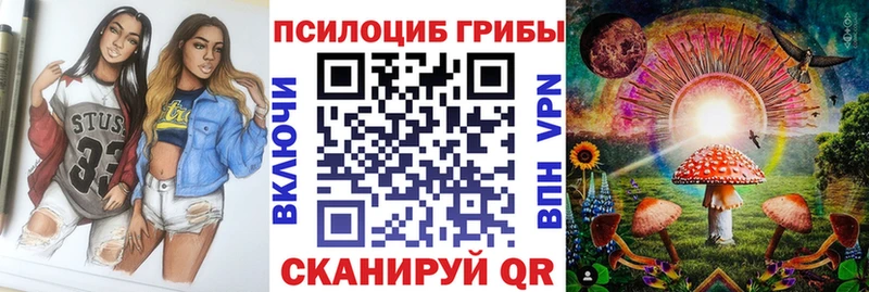 Псилоцибиновые грибы прущие грибы  где купить наркотик  Болотное 